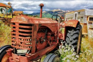 ChickenAppreciationSociety-ChickenTractor