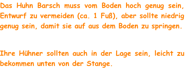 Das Huhn Barsch muss vom Boden hoch genug sein, Entwurf zu vermeiden (ca. 1 Fuß), aber sollte niedrig genug sein, damit sie auf aus dem Boden zu springen.

Ihre Hühner sollten auch in der Lage sein, leicht zu bekommen unten von der Stange.