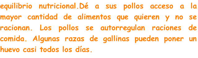 equilibrio nutricional.Dé a sus pollos acceso a la mayor cantidad de alimentos que quieren y no se racionan. Los pollos se autorregulan raciones de comida. Algunas razas de gallinas pueden poner un huevo casi todos los días. 