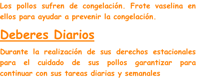 Los pollos sufren de congelación. Frote vaselina en ellos para ayudar a prevenir la congelación.
Deberes Diarios
Durante la realización de sus derechos estacionales para el cuidado de sus pollos garantizar para continuar con sus tareas diarias y semanales