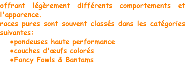 offrant légèrement différents comportements et l'apparence.
races pures sont souvent classés dans les catégories suivantes:
pondeuses haute performance
couches d'œufs colorés
Fancy Fowls & Bantams
