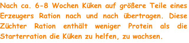 Nach ca. 6-8 Wochen Küken auf größere Teile eines Erzeugers Ration nach und nach übertragen. Diese Züchter Ration enthält weniger Protein als die Starterration die Küken zu helfen, zu wachsen.