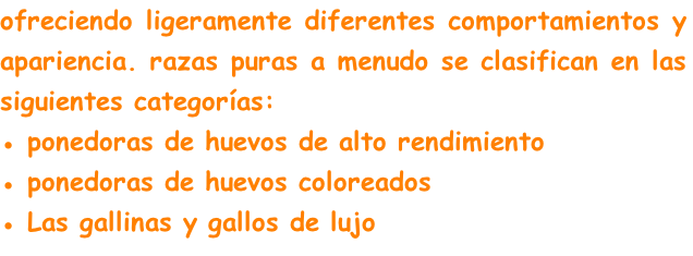 ofreciendo ligeramente diferentes comportamientos y apariencia. razas puras a menudo se clasifican en las siguientes categorías:
● ponedoras de huevos de alto rendimiento
● ponedoras de huevos coloreados
● Las gallinas y gallos de lujo
