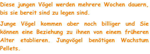 Diese jungen Vögel werden mehrere Wochen dauern, bis sie bereit sind zu legen sind.
Junge Vögel kommen aber noch billiger und Sie können eine Beziehung zu ihnen von einem früheren Alter etablieren. Jungvögel benötigen Wachstum Pellets.
