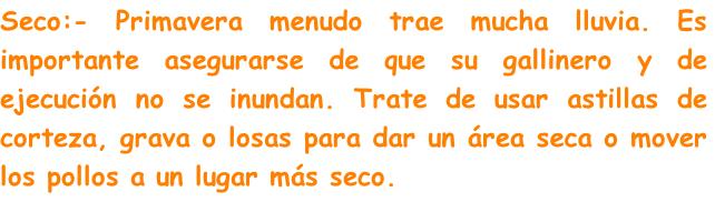 Seco:- Primavera menudo trae mucha lluvia. Es importante asegurarse de que su gallinero y de ejecución no se inundan. Trate de usar astillas de corteza, grava o losas para dar un área seca o mover los pollos a un lugar más seco.